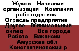 Жуков › Название организации ­ Компания-работодатель › Отрасль предприятия ­ Другое › Минимальный оклад ­ 1 - Все города Работа » Вакансии   . Амурская обл.,Константиновский р-н